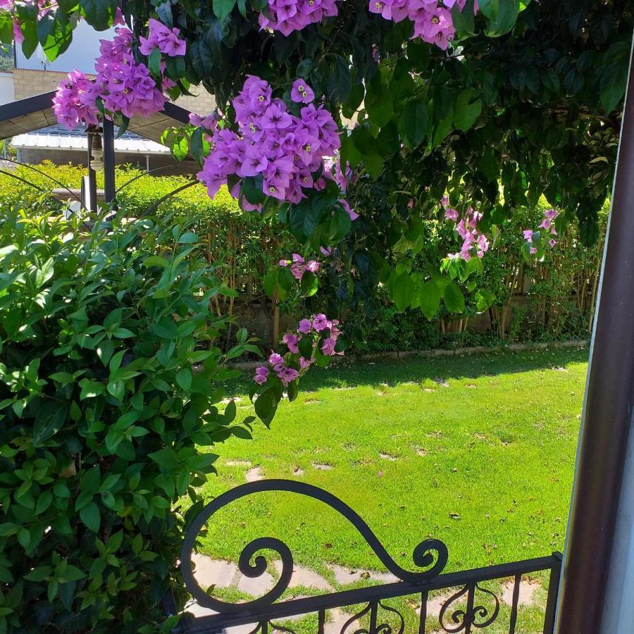 La Bouganville Di Sante E Rosa Manoppello Экстерьер фото